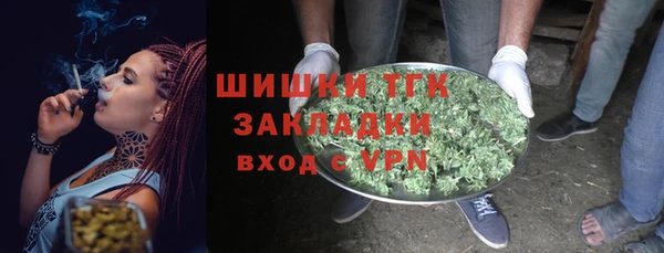 PSILOCYBIN Армянск
