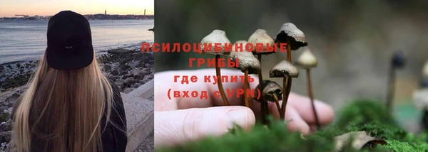 PSILOCYBIN Армянск
