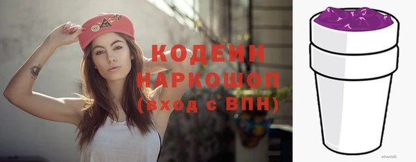 прущий лед Арсеньев