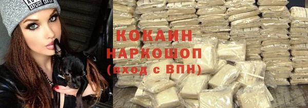 PSILOCYBIN Армянск