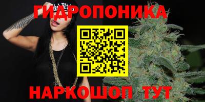 гидропоника Добрянка