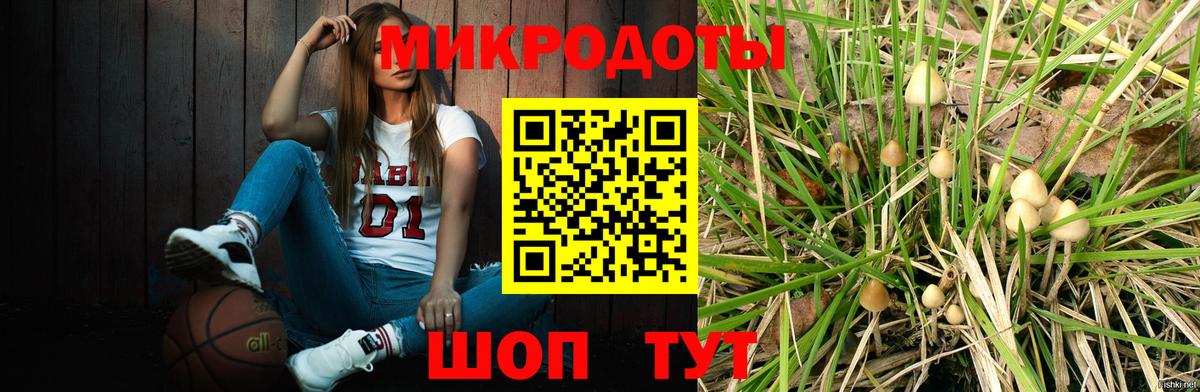 Темрюк  Галлюциногенные грибы Psilocybe  Вход с VPN 