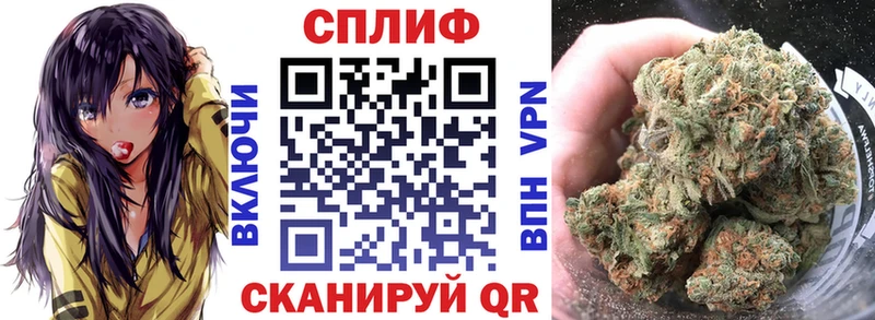 купить закладку  Темрюк  Конопля ГИДРОПОН 